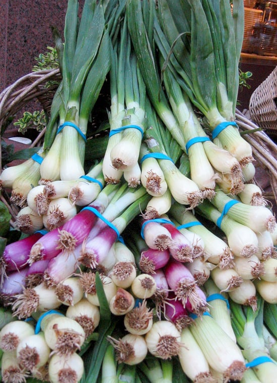 Spring Onions