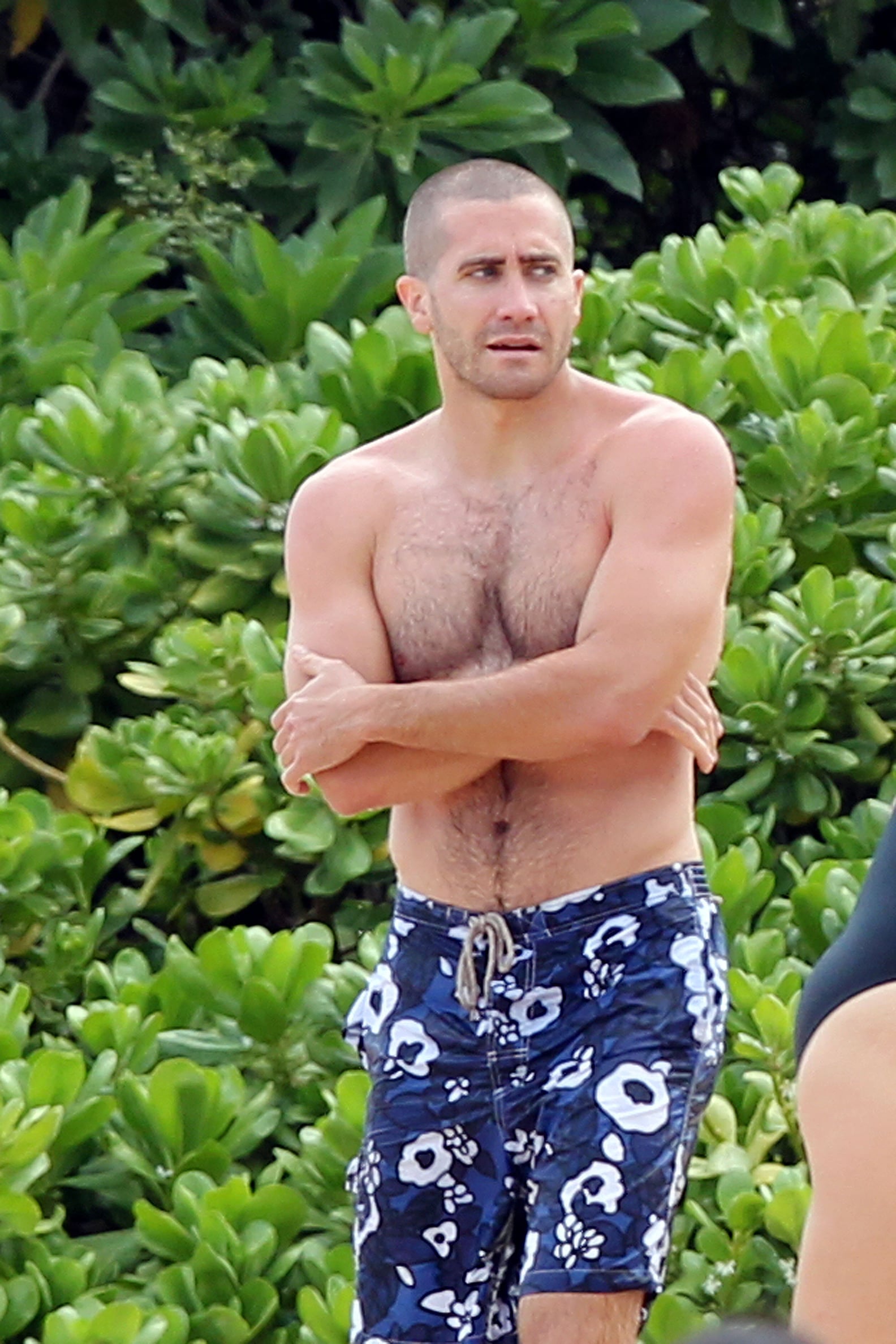 Pictures of Jake Gyllenhaal Over the Years PS Celebrity