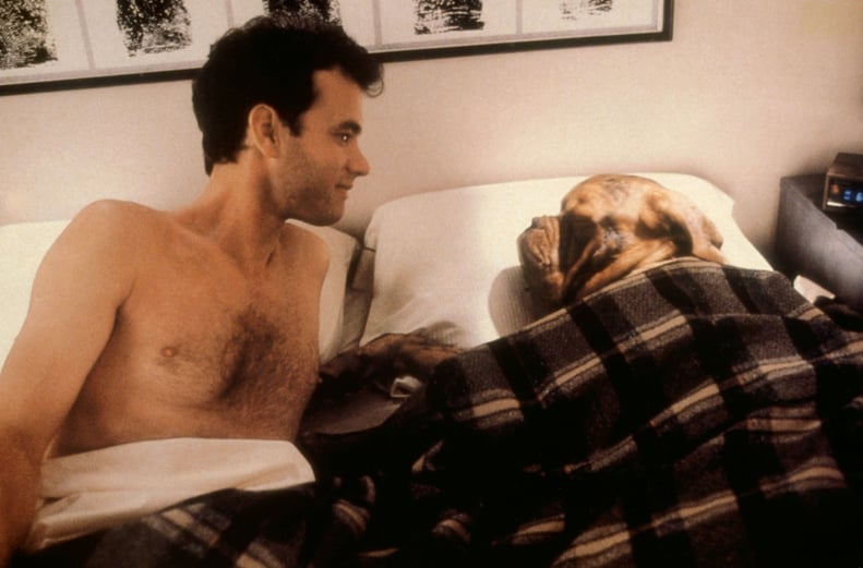 Turner & Hooch