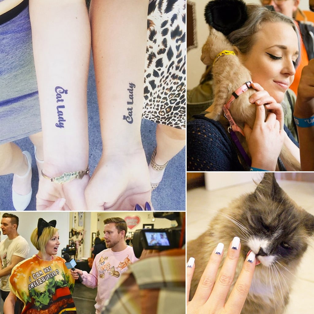 CatCon 2015 Photos