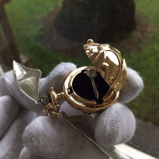 Harry Potter Snitch Proposal