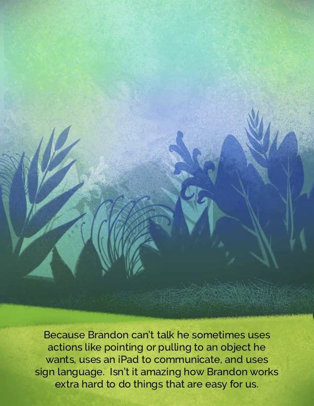 Sample Pages From Brandon's Book
