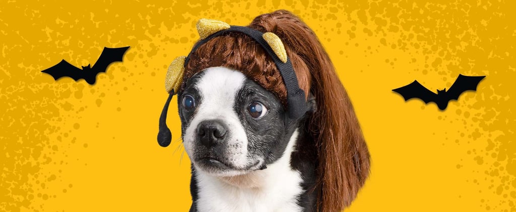 Ariana Grande Halloween Costume For Dogs