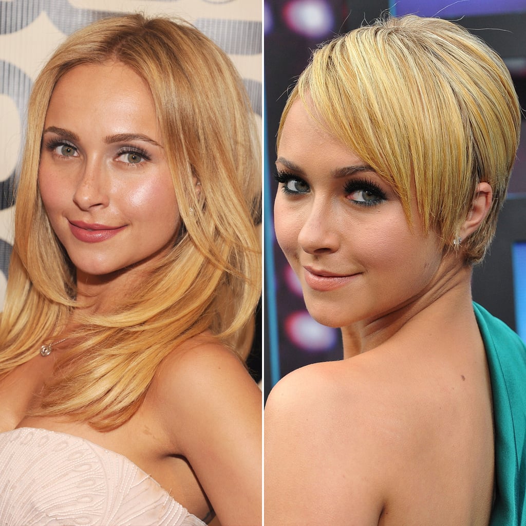 Hayden Panettiere Celebrities With Short And Long Hair