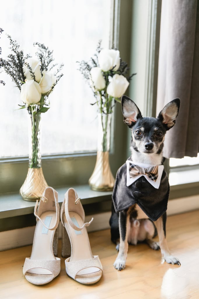 Dogs in Weddings