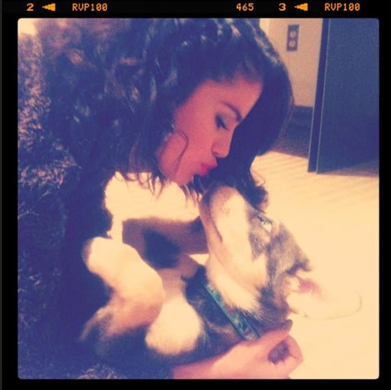 Puppy Love Puppy Love