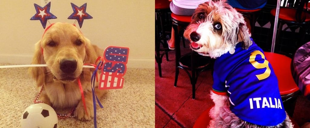 Instagram Dogs Represent World Cup
