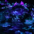 Even If Your Little Ones Haven't Seen Avatar, They'll Love This Pandora Ride