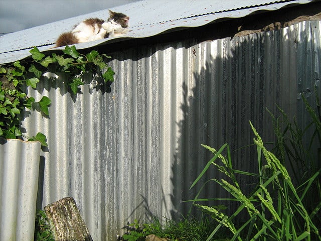 Source: Flickr user Rhian vK
Source: Flickr user Rhian vK