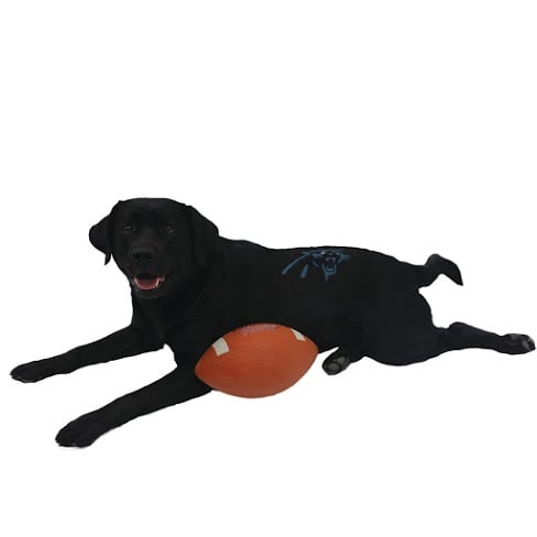 Dog-Safe Paint