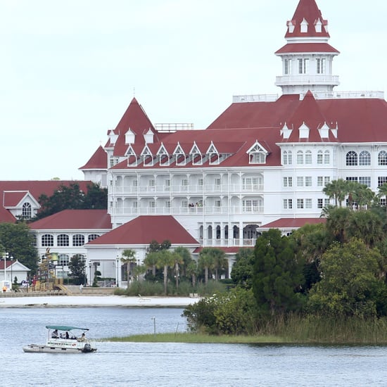 Criticism of Parents of Boy Who Died in Alligator Attack