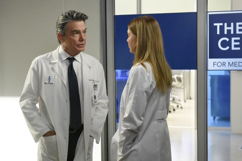 Peter Gallagher as Dr. David Hamilton