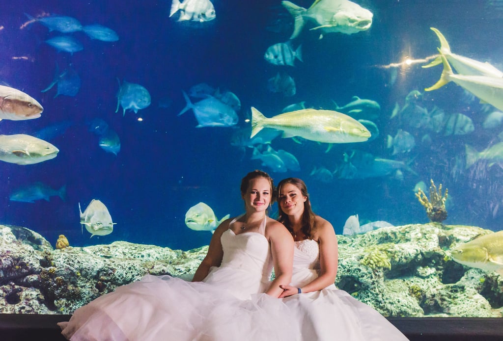 Flipboard These Brides Tied The Knot At An Aquarium And