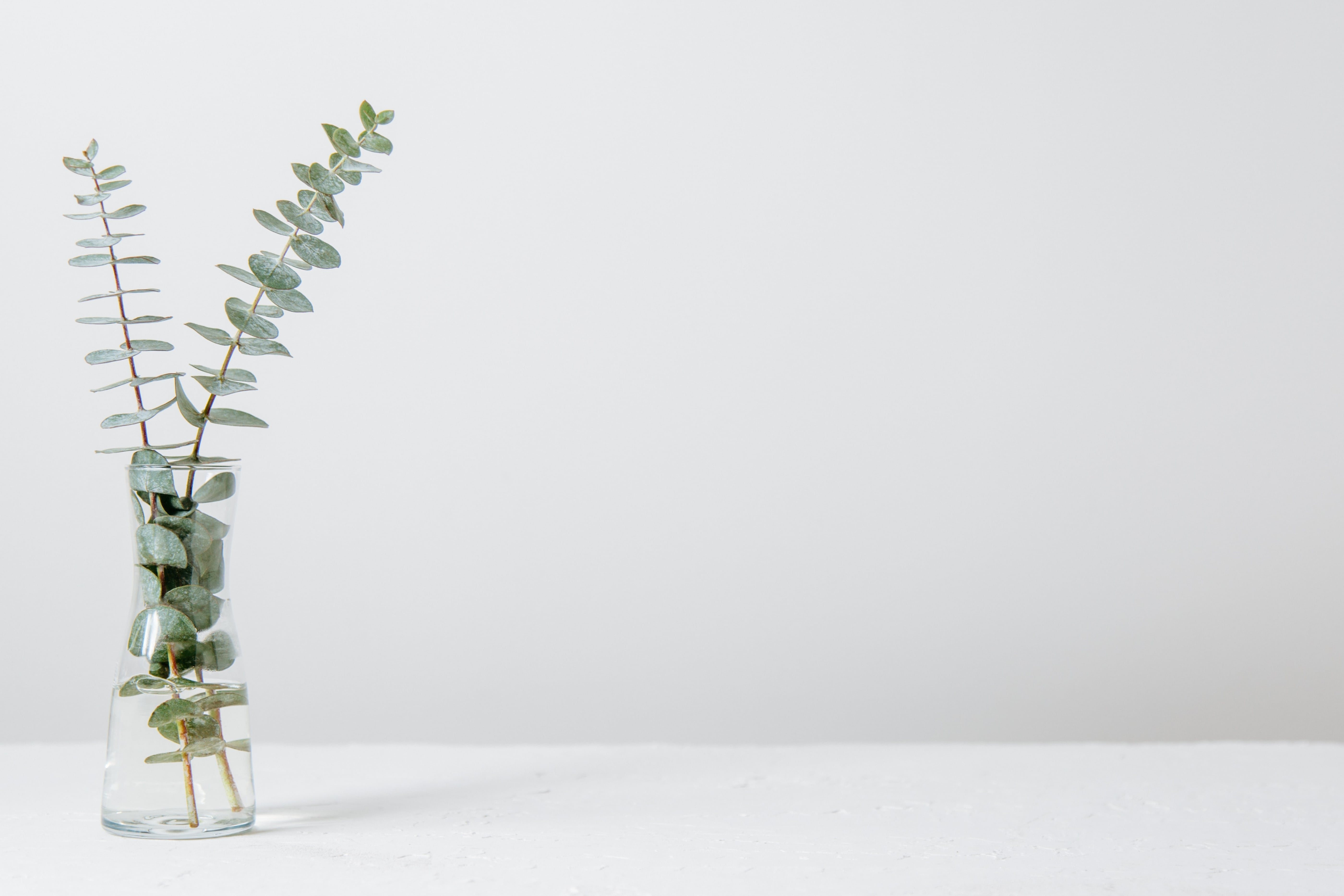 How to Turn Your Shower Into a Spa Experience POPSUGAR Fitness