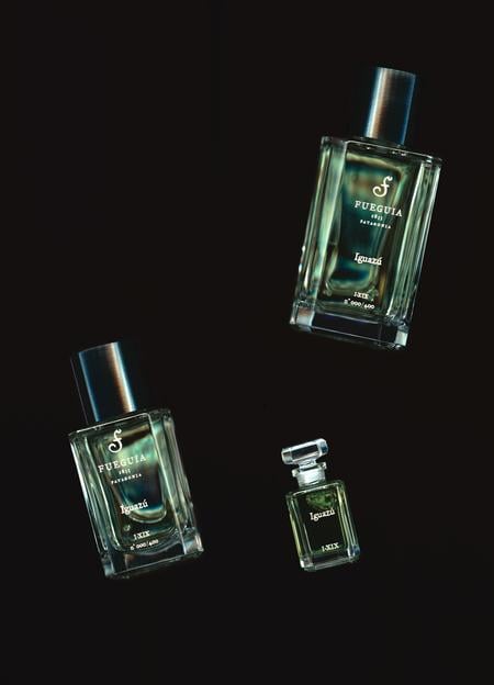 Fueguia Ett Hem Fragrance | Troye Sivan's Nightly Skin Routine