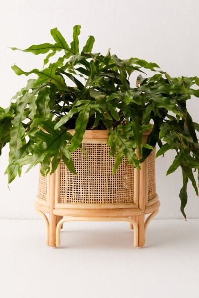 Rattan 12" Planter