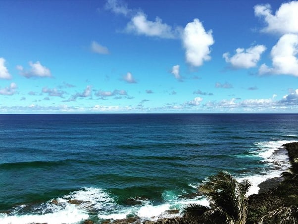 Zac Efron and Sami Miro in Hawaii 2015 | Pictures