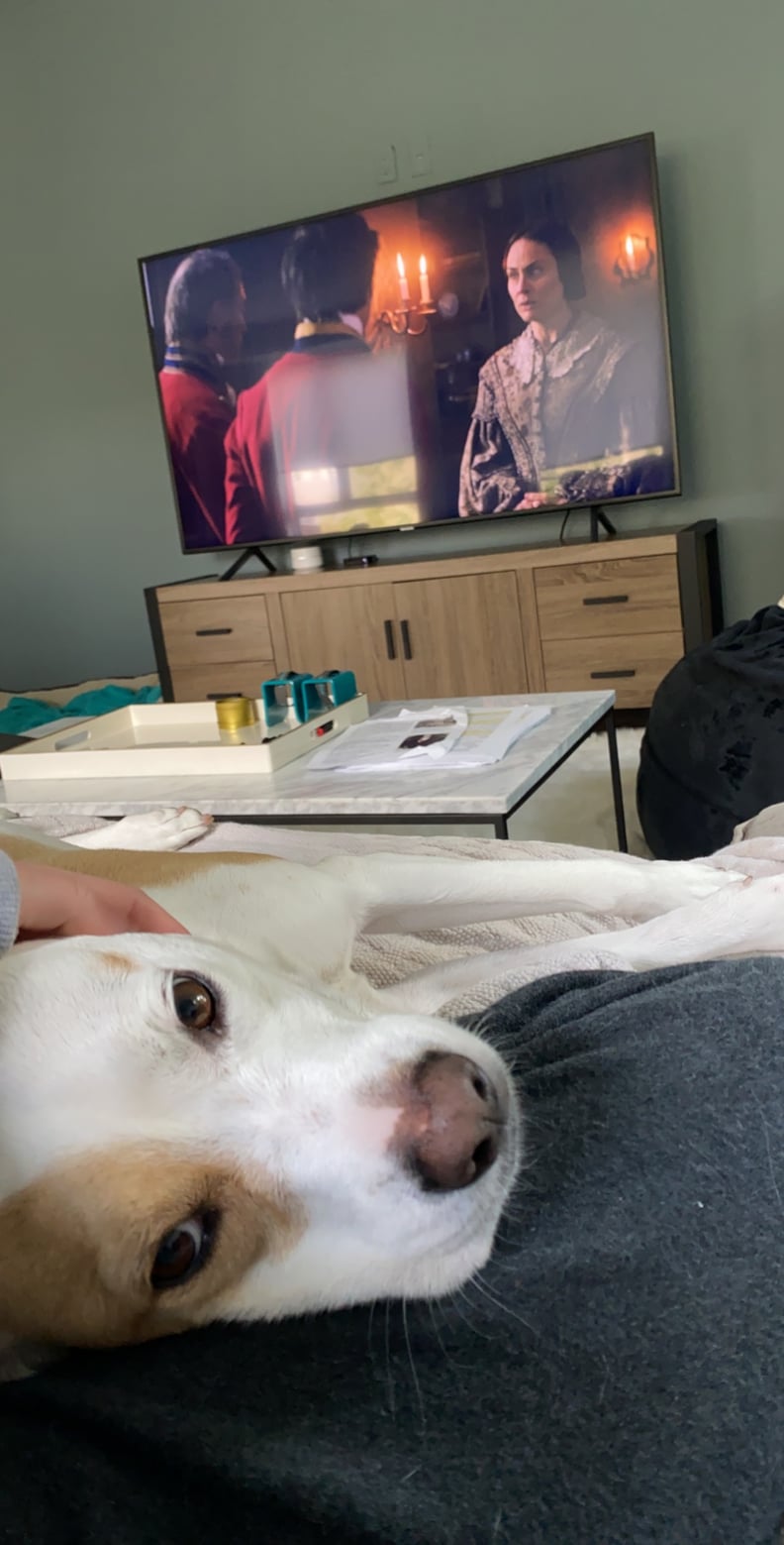 Sydney and Tank Binge Their Favorite Shows