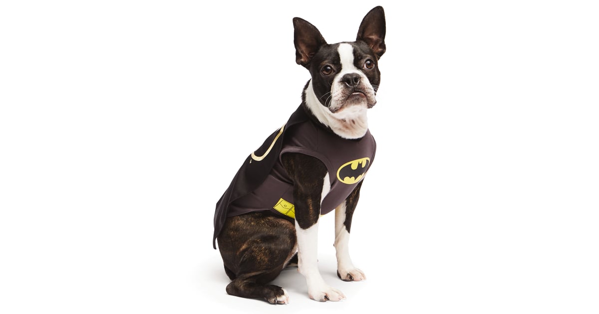 Batman Superhero Costumes For Dogs POPSUGAR Pets Photo 16