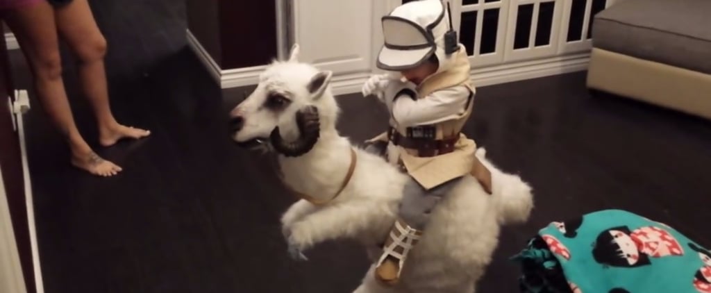 Homemade Star Wars Tauntaun Costume