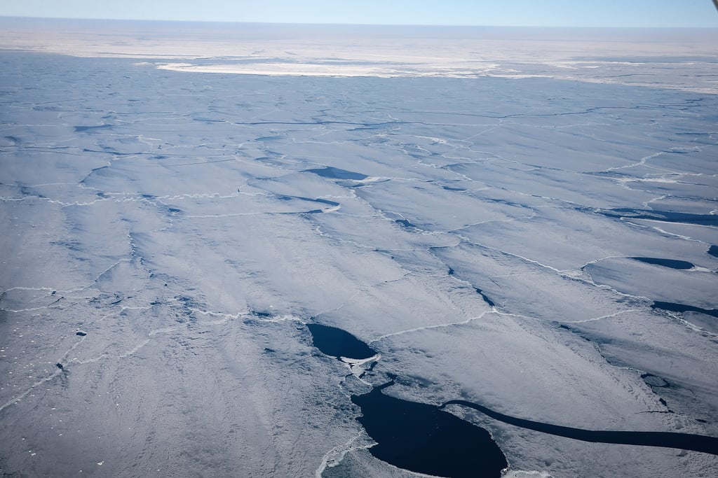 More than 80 percent of Lake Michigan is covered in ice.