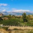 6 Reasons You Should Go to a Wine Tour in Spain
