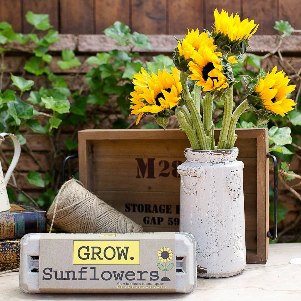 Sunflower Garden Grow Kit