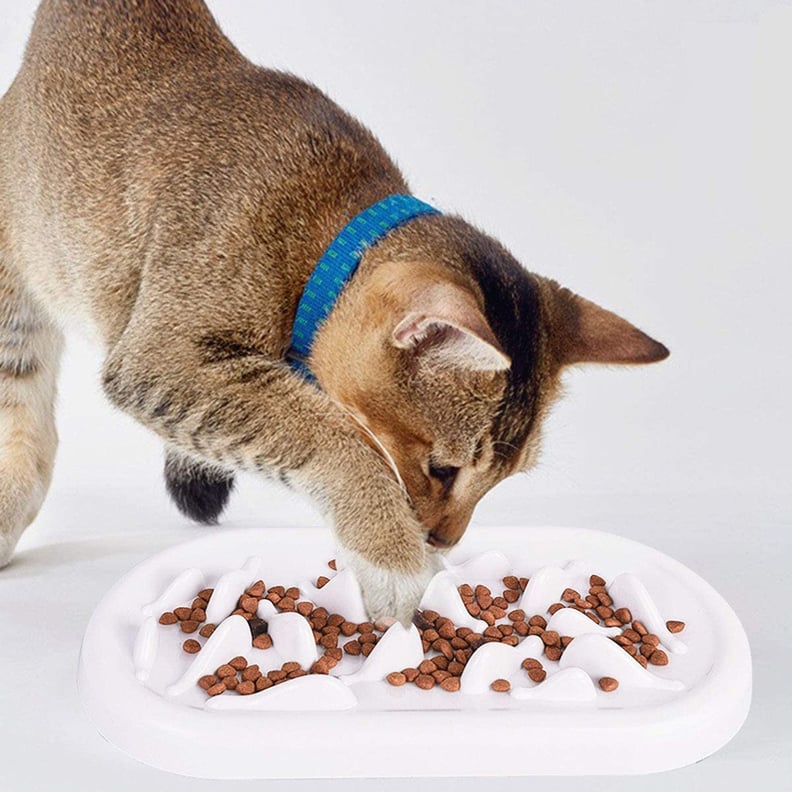 Slow Feeder Cat Bowl