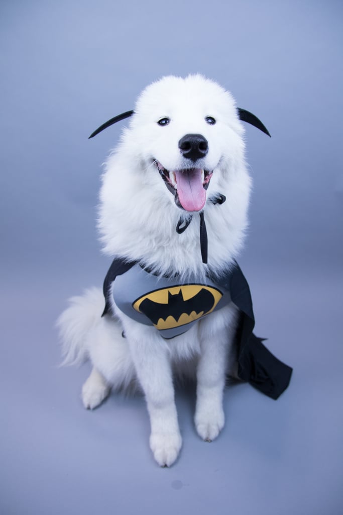 Batman v. Superman