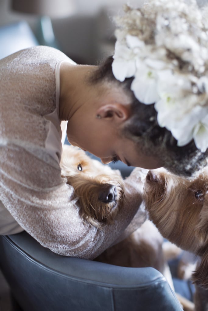 Dogs in Weddings