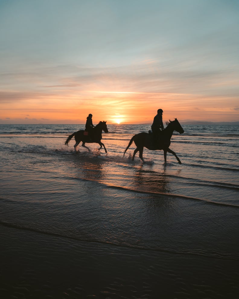 Go Horseback Riding