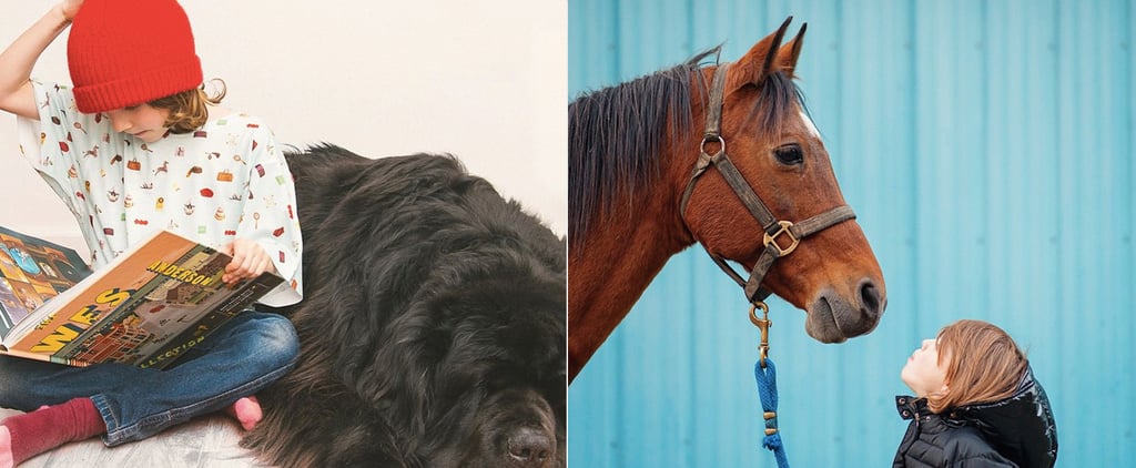 Photos of Boy With His Dogs and Horse