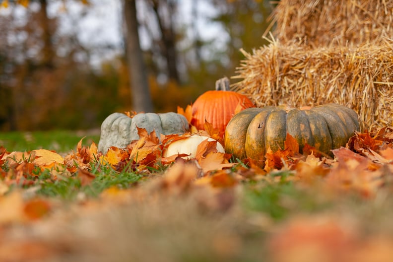 Fall Haystack and Pumpkin Zoom Background