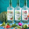 Smirnoff's New Fruit-Flavored Vodka Infusions Have ZERO Sugar — So Have Another Cocktail