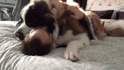 Finally, you get her back into bed and she falls asleep with you there.