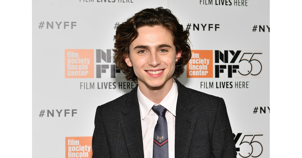 timothée chalamet funko pop