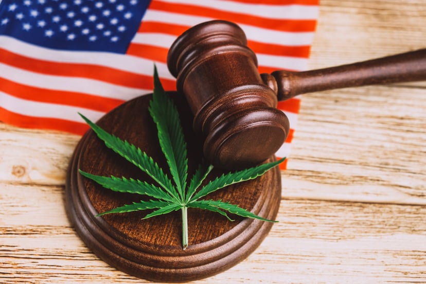 High angle view of green fresh cannabis leaf lying down on sound block under gavel over USA flag on wooden table.