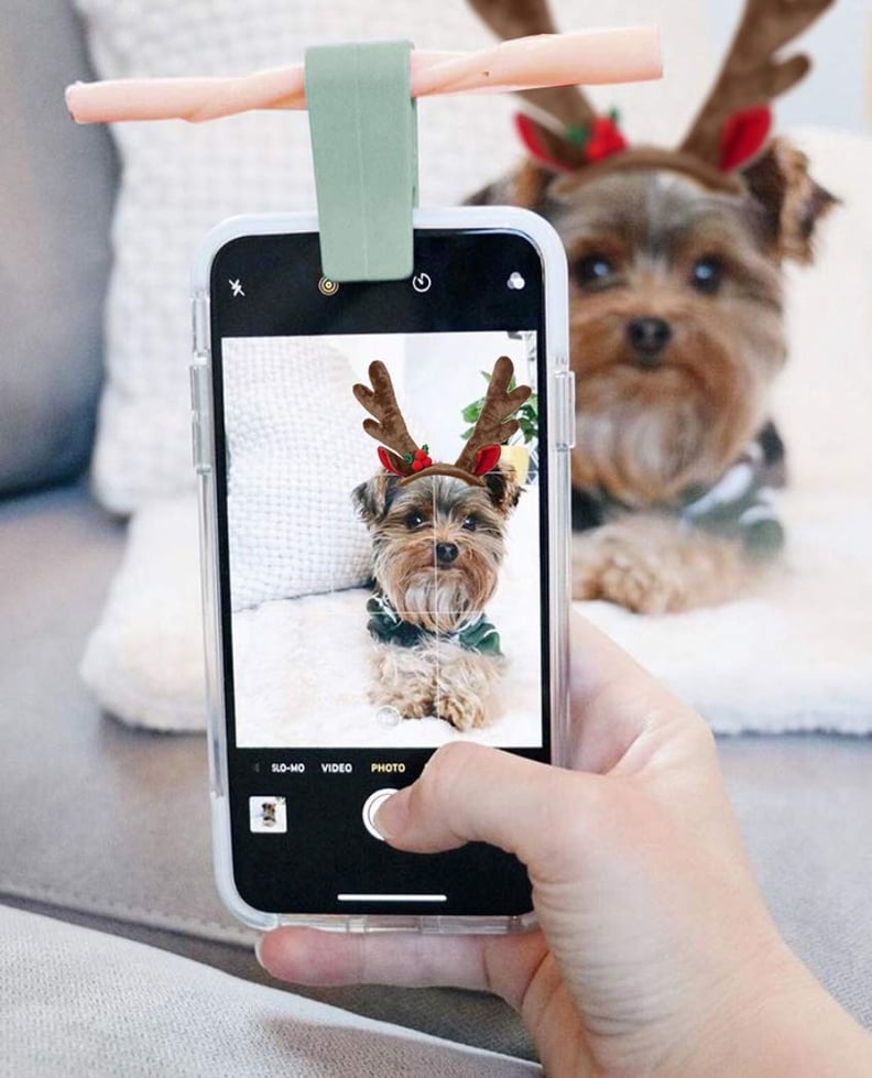 For the Person Obsessed With Their Dog: Woofie Pet Selfie + Portrait Tool