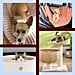 Best Products For Pet Owners
