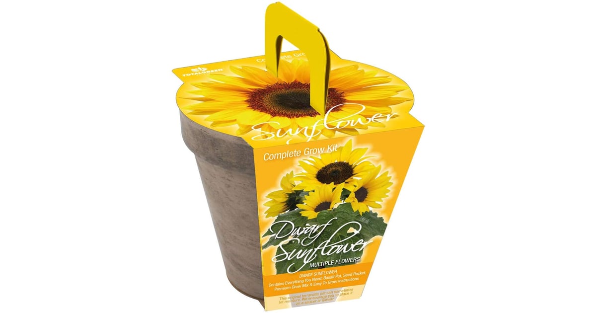 Sunflower Where to Buy Edible Garden Plants Online POPSUGAR Home