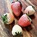 Pineberry and Strawberry Differences - What Are Pineberries?