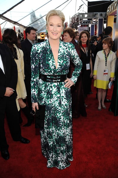 Meryl Streep at the 2010 SAG Awards