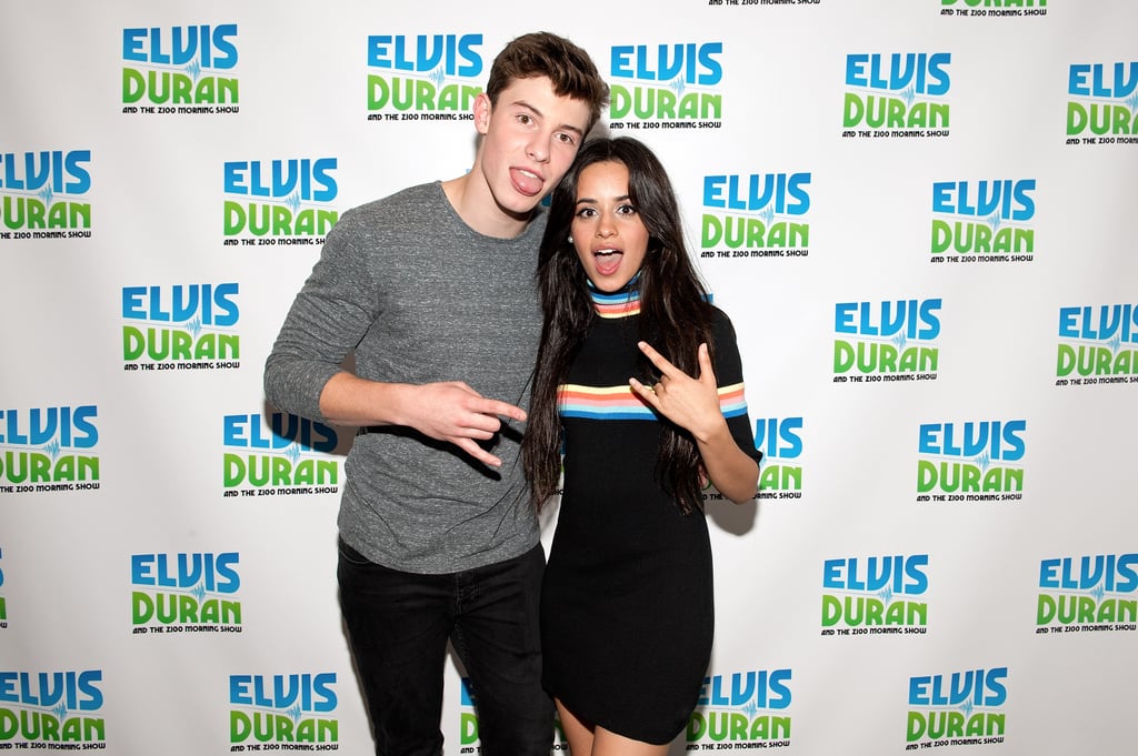 Camila Cabello and Shawn Mendes's Cutest Pictures