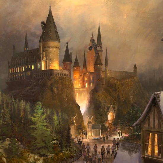 Harry Potter World Hollywood Opening Date