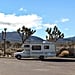 What You Should Do in Joshua Tree