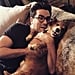See Pictures of Dan Levy and His Rescue Dog, Redmond
