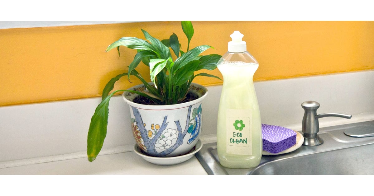 BoraxFree Liquid Dish Soap POPSUGAR Smart Living