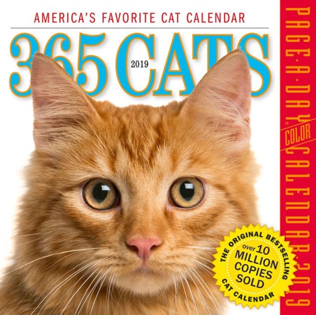 365 Cats Page-a-Day Calendar 2019