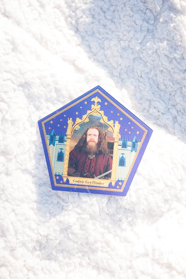 Disney and Harry Potter Engagement Shoot