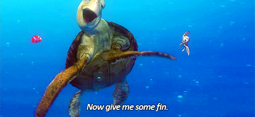 When the Sea Turtle Is So Friendly